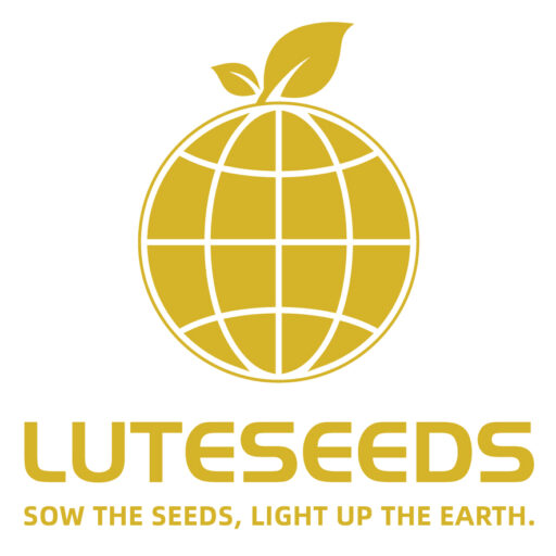 china seeds factory luteseeds