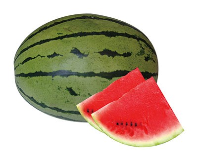 Watermelon 'Gift Oblong Red' Seeds