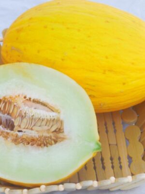 Yellow canary melon seeds Cucumis melo