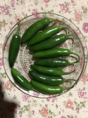 Jalapeño pepper seeds