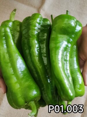 Large sweet horn pepper seeds