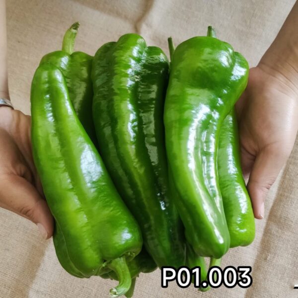 Large sweet horn pepper seeds