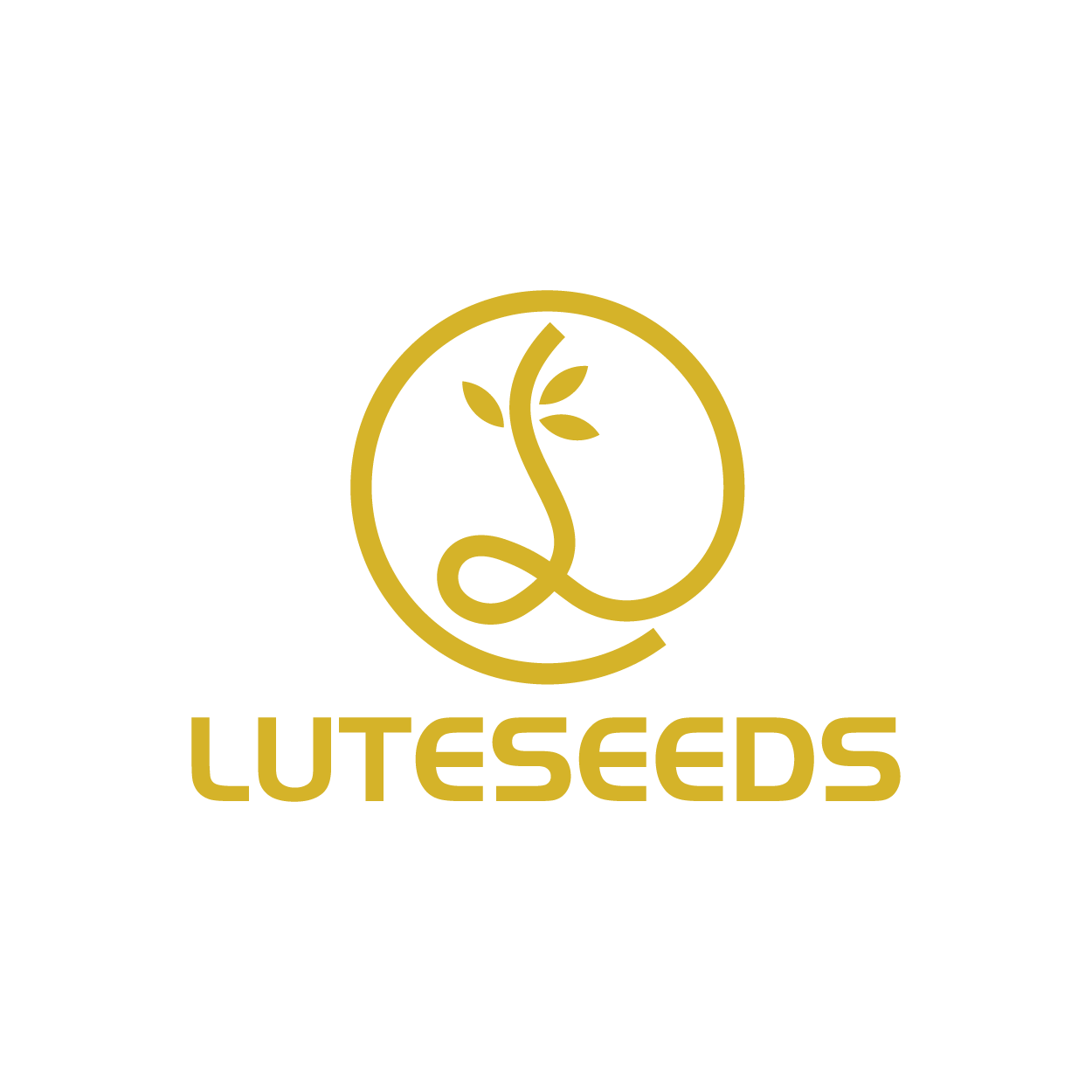 LUTESEEDS