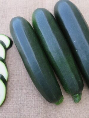 Hybrid Dark Green Zucchini Seeds F1 Squash